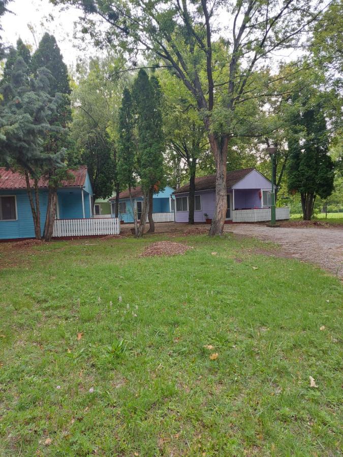 Tulipan Bungalow Camping Resort Gyenesdiás Eksteriør bilde